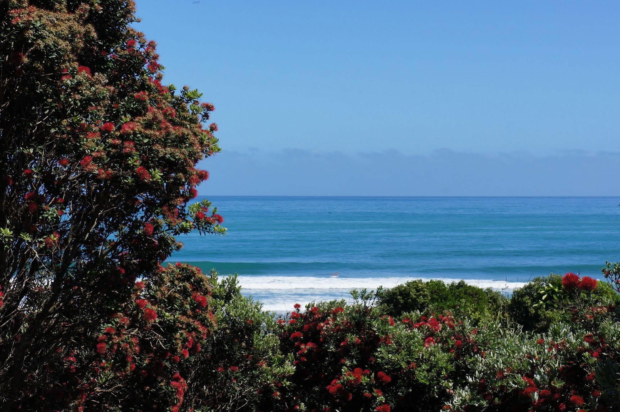 Fitzroy Beach Holiday Park New Plymouth Exteriér fotografie